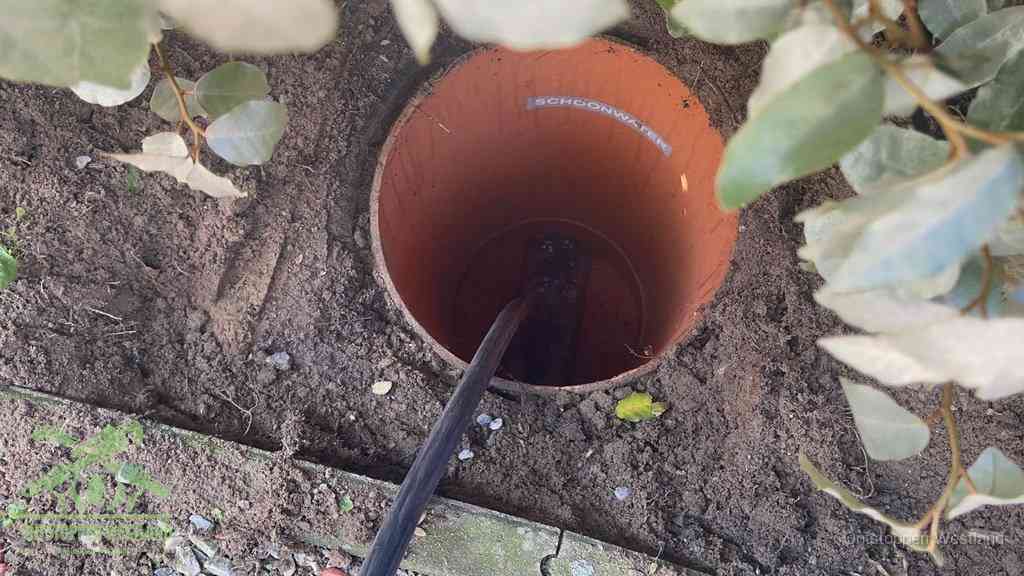 Open inspectieput in de tuin waar een veer rioolvliegjes en stankoverlast aanpakt in Westland