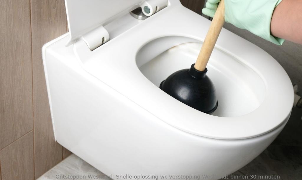 Snelle oplossing wc verstopping Westland: binnen 30 minuten