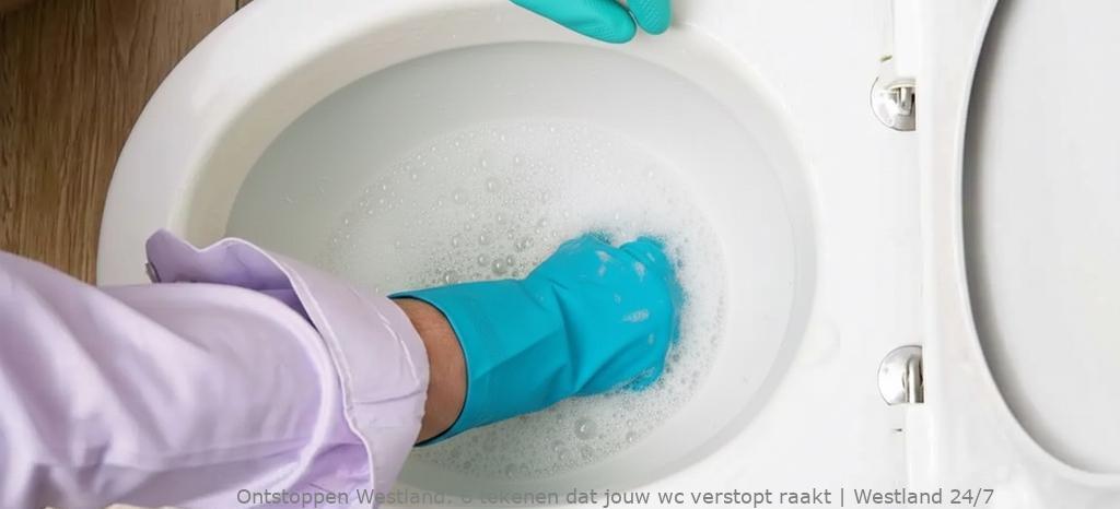 6 tekenen dat jouw wc verstopt raakt | Westland 24/7