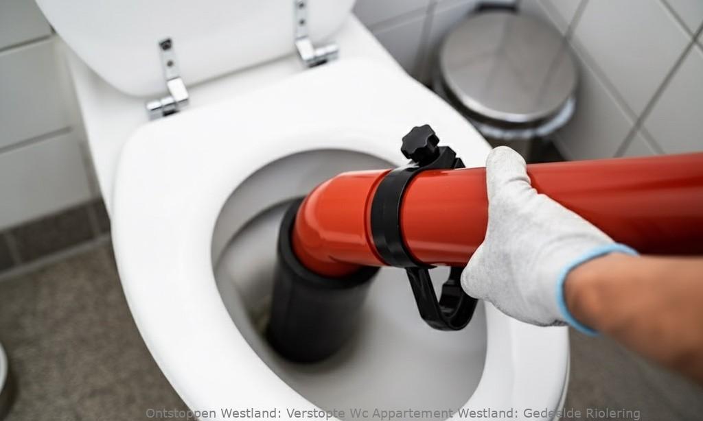 Verstopte Wc Appartement Westland: Gedeelde Riolering