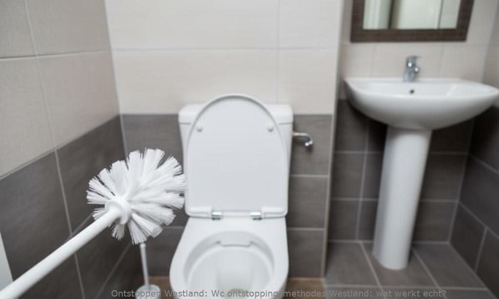 Wc ontstoppingsmethodes Westland: wat werkt echt?